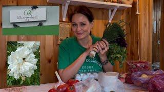 Цены в Москве на овощи и фрукты. Вкусные ягоды и ароматные цветы на даче. Вкусный душевный ужин