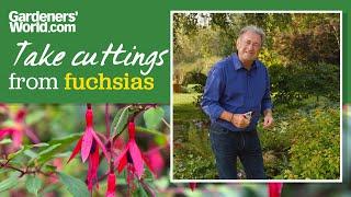 FREE FUCHSIA PLANTS | Alan Titchmarsh's guide to TAKING FUCHSIA CUTTINGS for free extra plants