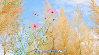 Me singing 芦花 Reed Catkins (cover: yuanyuan88) challenge soprano high C