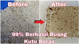 How To Remove Rice Weevil in rice | Cara Buang Kutu Beras Dari Beras | 100% berhasil