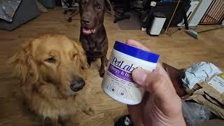 Allergy & Immune Probiotics for Dogs