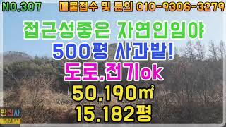 (재업)접근성 좋은 송이나는산!500평 개간된 산!전기,건축ok!50,190㎡/15,182평(안동시 임동면 임야매매)