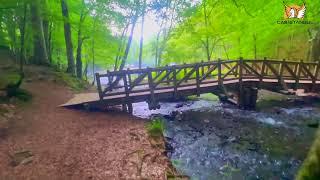 Enchanting Beauty of Yedigoller (Seven Lakes) in Bolu, Turkey- 2023