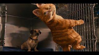 Garfield 2 - kennel