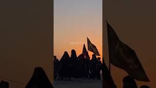 Arbaeen 2024 | Upcoming Tour | Ziyarat | Najaf | Karbala | Kazmain | Samarra | Arbaeen walk