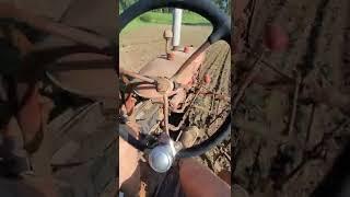 Cultivating on a Farmall B with Tilmor tender plant hoes