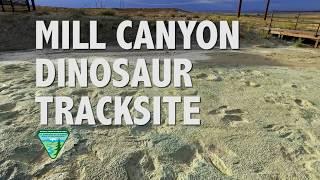 Mill Canyon Dinosaur Tracksite