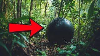 (Full Part) Hiker Found A Weird Black Object In The Middle Of The Forest