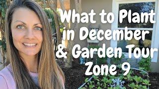 What to Plant in December & Garden Tour Zone 9