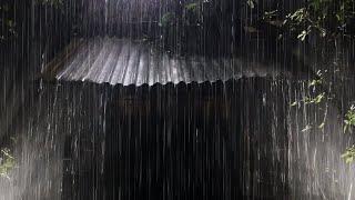 Sleep Instantly with Heavy Rain & Furious Thunder Sounds on Tin Roof of Old House in Forest at Night