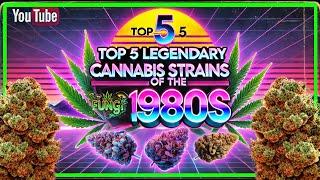 Top 5 Cannabis Strains of the 80s  |  FUNGI Co.