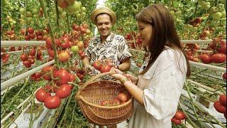 Az Alföldön már föld sem kell a paprika és paradicsom termesztéséhez