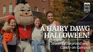 Hairy Dawg Celebrates Halloween at UGA