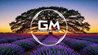 Rise Above the Night | EDM | GM - Griznoi Music