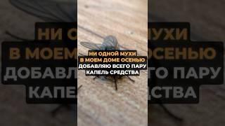 Ни одной мухи в моем доме осенью #лайфхаки #советы #хитрости