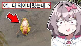 정신나간 레전드 더위 모음집ㅋㅋㅋ..