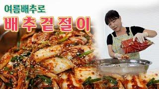  배추 1통으로 바로 먹기 좋은 배추겉절이 만들기, 여름배추는 이게 중요해요.