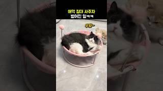 해먹 침대 사주자 벌어진일ㅋㅋ