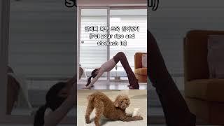 굽은 등 펴고 햄스트링 늘이기! 하체 혈액순환 #요가 #yoga #운동 #스트레칭 #shorts