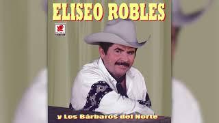 Eliseo Robles y los Bárbaros del Norte - Amor Añejo (Visualizador Oficial)