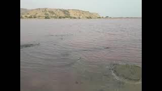 دریاچه صورتی چابهار_تالاب صورتی Pink Lake