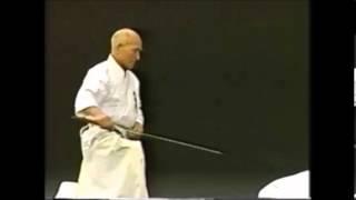 Hakuo Sagawa - Muso Shinden-ryu:  Eishin-ryu (detailed)