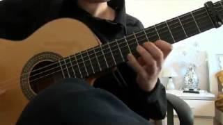 Gipsy Kings - Lagrimas (Cover by Alex Maisuradze)