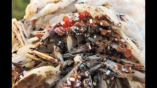 Vanadinite crystals on Baryte blades mineral specimen from Mibladen in Morocco