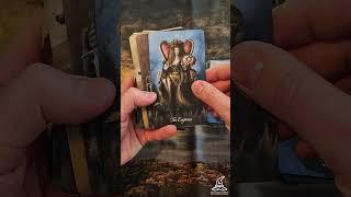 Baroque Tarot | Deck in a Minute