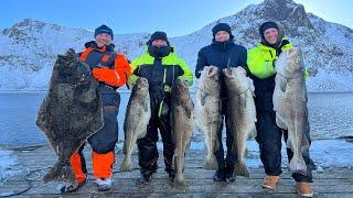 Fishing and Spearfishing for Skrei Cods in Northern Norway