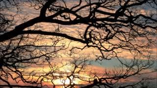 One picture  a day like this, North Wales by Tim Shawcross