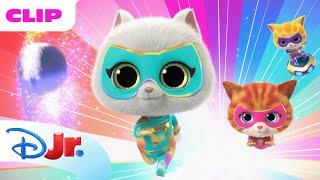 SuperKitties | Bitsy Saves the Kittydale Race  | @disneyjr