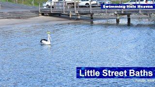 Cruising with a pelican at Little Street Baths, Forster