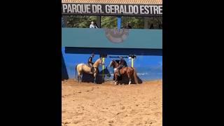 KAKAZINHO ALMEIDA DEU SHOW ARMADO FIT LM