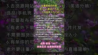 #赚钱#副业#运营#短视频#跨境电商#商业思维#带货#自媒体#TikTok赚钱#创业