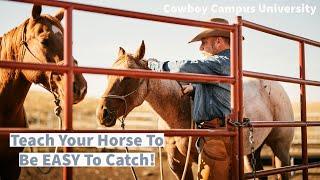 How to Catch a Hard to Catch Horse & Keiths #1 Tip For Creating Easy To Catch Horses!