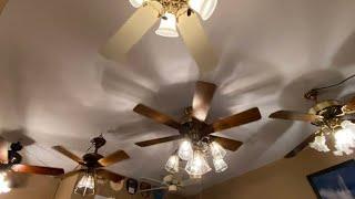 Belated #NCFD 2023 Special: Ceiling Fans in my House, and Ceiling Fan Collection! | ECFE