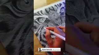 Drawing of  Tiger  | Short Video | Kishan Gupta Arts | #shorts