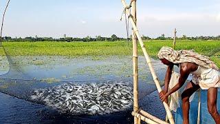 The method of fishing with dharma nets made of bamboo. Fishing whit rain nets in rain water.