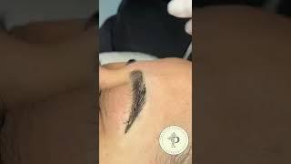 MICROPIGMENTAÇÃO FIO A FIO PASSO A PASSO