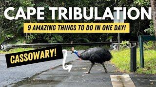 A Complete Guide to Cape Tribulation and Daintree Rainforest