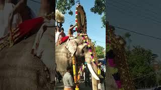 ചന്ദ്രശേഖരൻ #festival #pooramvibes #ulsavakeralam #ulsavakeralam #2023 #kerala #pooram #trissur