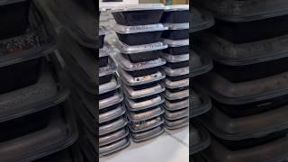 Storing Meal Prep and Keeping it Fresh