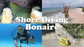 Why we LOVE shore diving in BONAIRE!