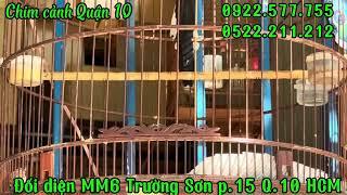 RIVIEW và Báo giá toàn bộ chim tại CH CCQ10