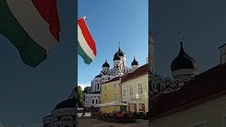 Alexander Nevsky Cathedral | PakistanTravelVlogger | NaeemTravelVibes | ExploreEurope | Estonia