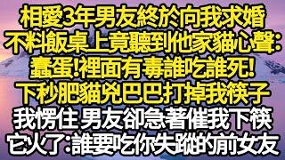 相愛3年男友終於向我求婚，不料飯桌上竟聽到他家貓心聲：蠢蛋！裡面有毒誰吃誰死！下秒肥貓兇巴巴打掉我筷子，我愣住 男友卻急著催我下筷，它火了：誰要吃你失蹤的前女友#故事#情感#情感故事#人生#人生經驗