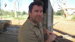 Virtual walking tour of Werribee Open Range Zoo