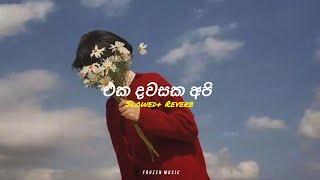 Eka Dawasaka Api ( එක දවසක අපි ) | Slowed + Reverb | Official Music Video  #song #remix #viralvideo