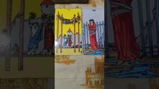 برج القوس طاقة اليوم #شمس المعارف في تاروت وروحانيات